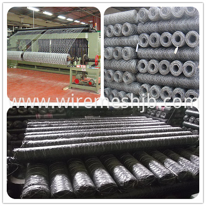 Galvanized Wire Netting